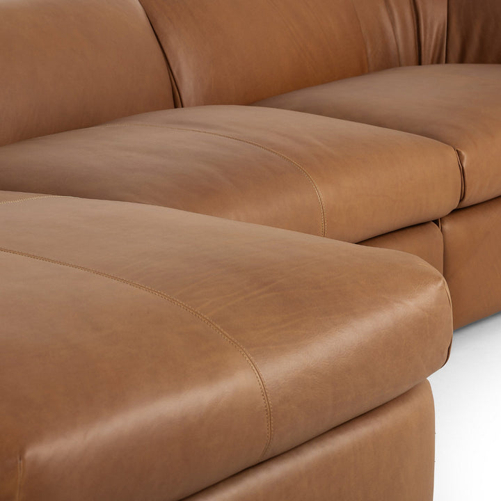 DANIE 3 PIECE SECTIONAL W/CHAISE