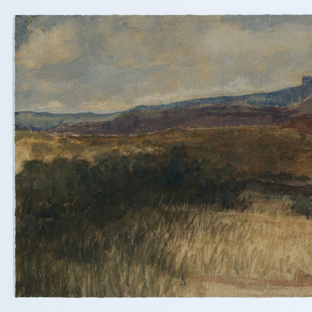 DESERT MOMENTS