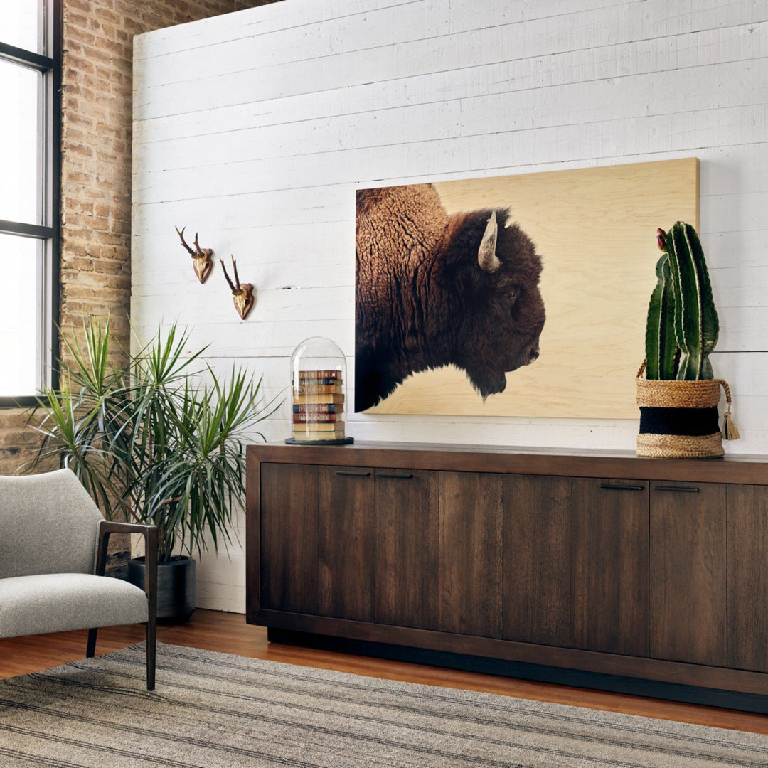 BISON DREAM